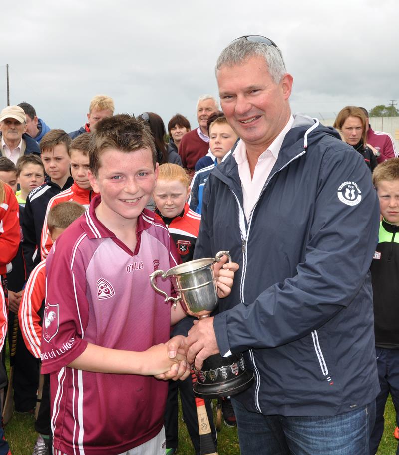 Borris-Ileigh U12 Team won the North Final 2015